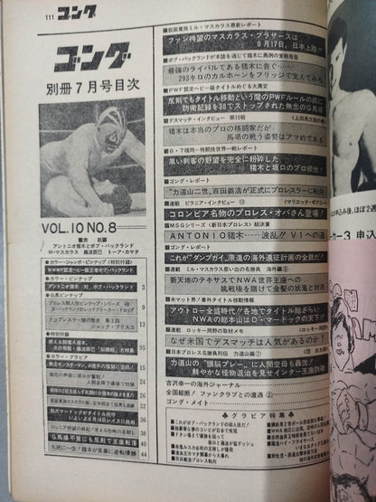 別冊ゴングVol.10 No.8
