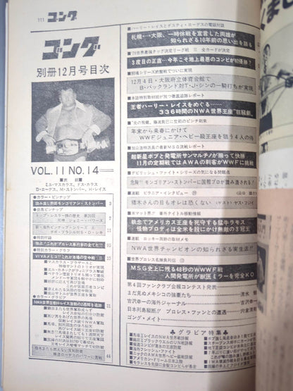 別冊ゴングVol.11 No.13