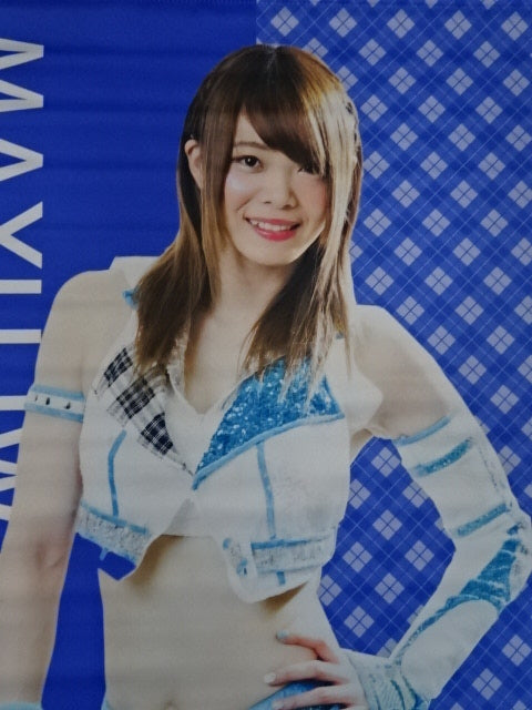 AppBank Store限定 岩谷麻優 タペストリー – 闘道館