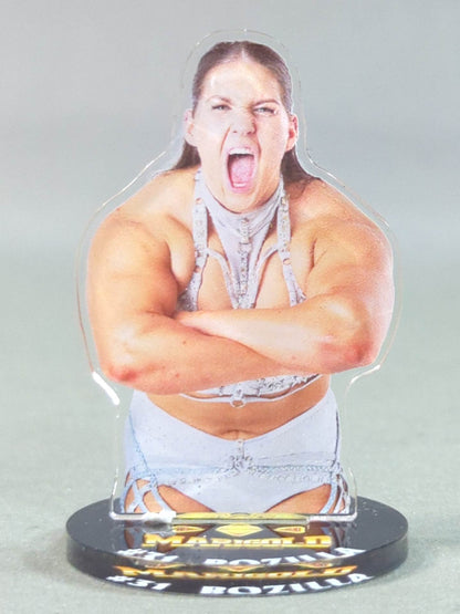 Bojra Marigold Acrylic Stand