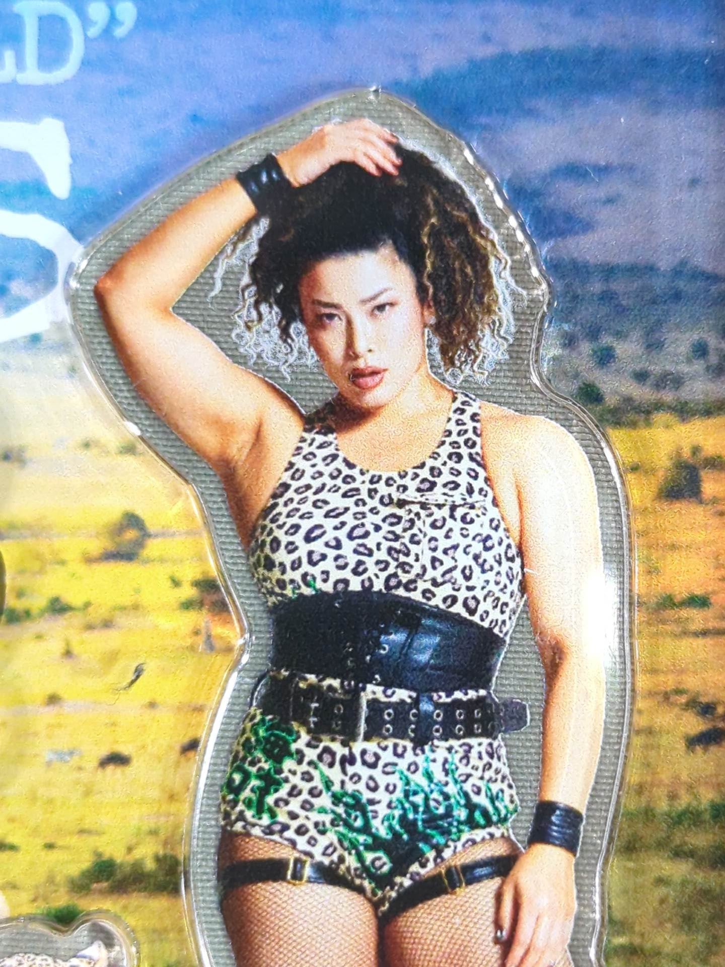 直筆サイン入り】ZONES アクリルスタンド – 闘道館