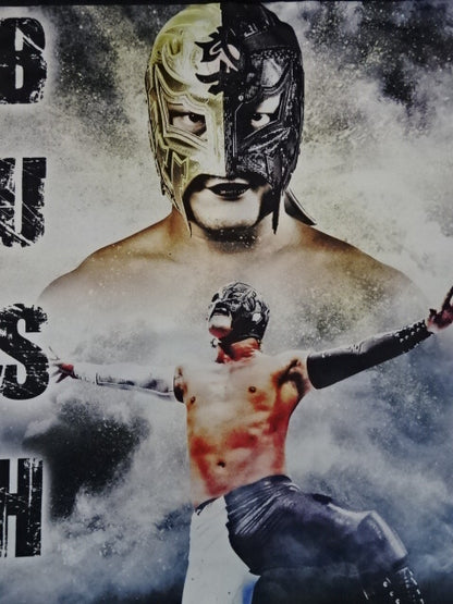 BUSHI B2 Tapestry