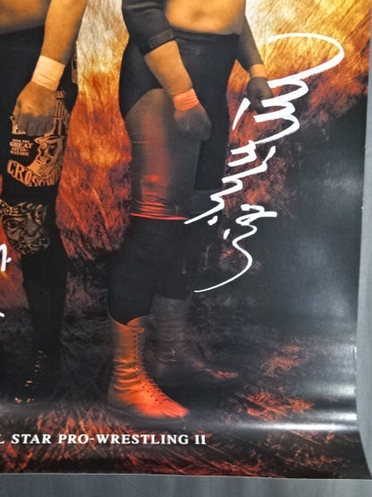 ALL STAR PRO Wrestling  II. Advertising Poster