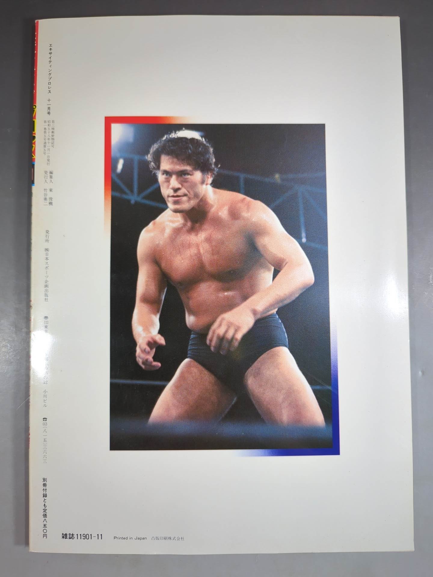 エキサイティングプロレス デラックス版 1983年11月号