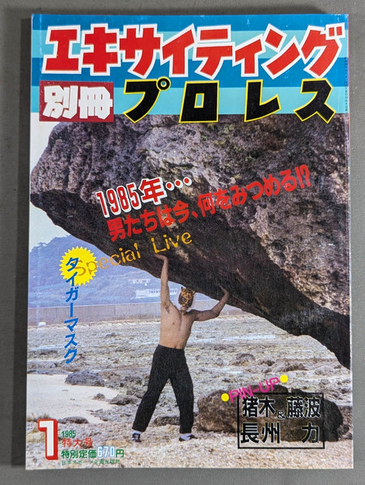 Separate volume Exciting Pro Wrestling January 1985 issue