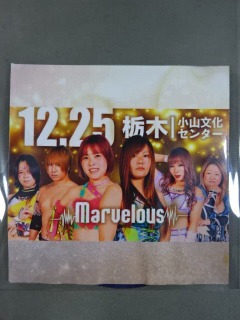 Marvelous December 25, 2022 Tochigi Convention