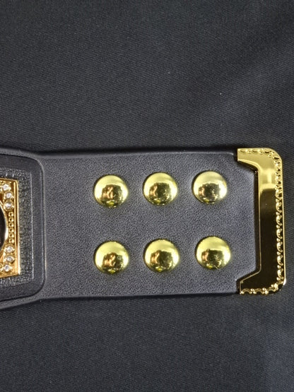 ★WWE SUPERSHOW 2025★ WWE Championship Belt