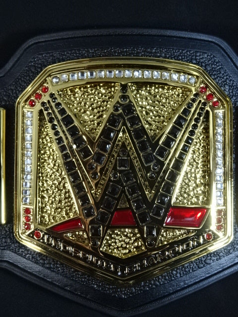☆WWE SUPERSHOW 2025☆ WWE王座チャンピオンベルト – 闘道館