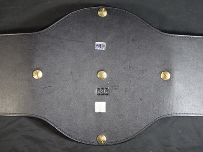 IWGP Heavy Weight Title Belt (first generation)
