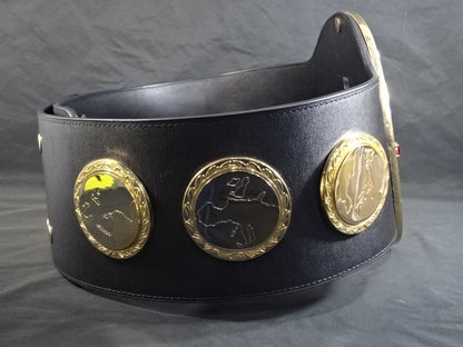 IWGP Heavy Weight Title Belt (first generation)