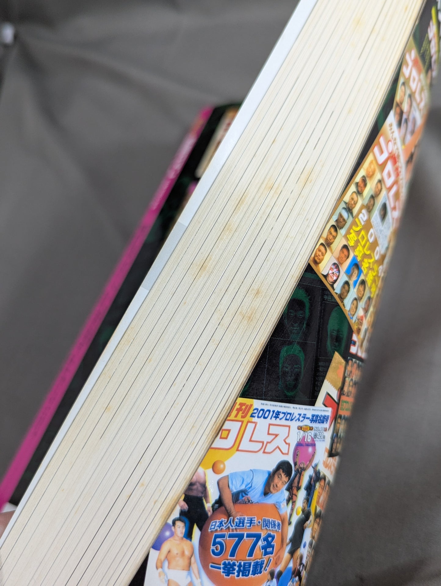 週刊プロレス 名鑑ロマン 15年クロニクル