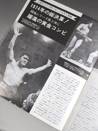74 Fighting Spirit Series Part 2