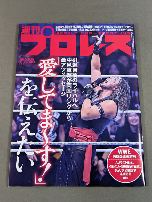 Weekly Pro Wrestling 2381
