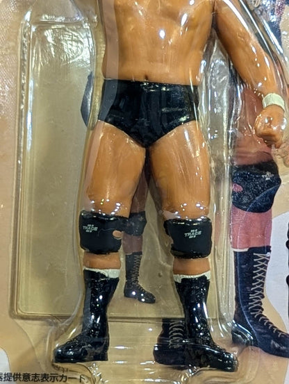 Jumbo Tsuruta (Card: Triple Crown Card)