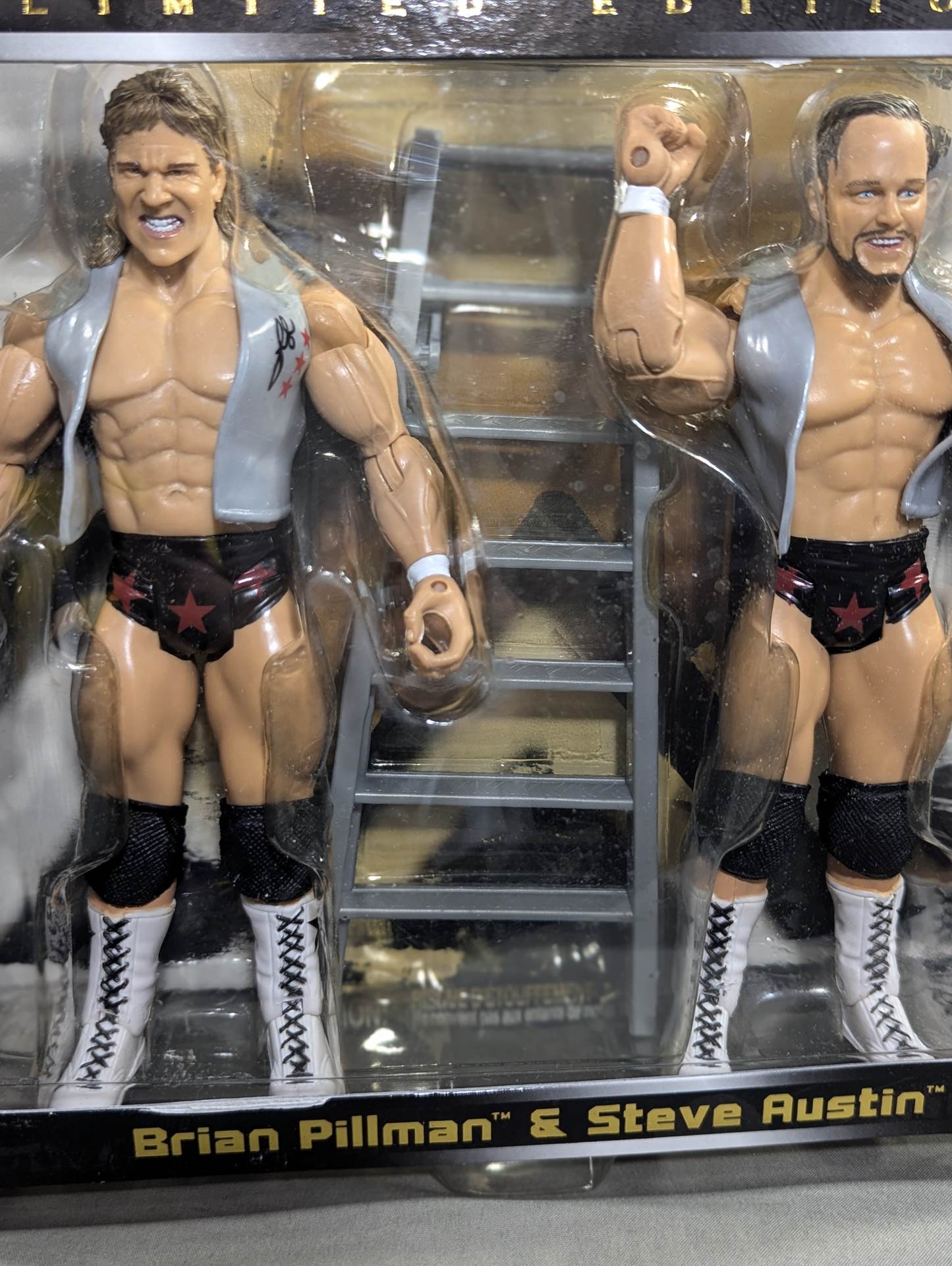 筋肉フィギュア ブロンズ ハリウッド・ブロンズ(スティーブ・オースチン&ブライアン