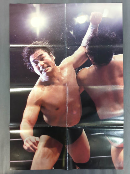 天龍源一郎 雑誌付録ポスター