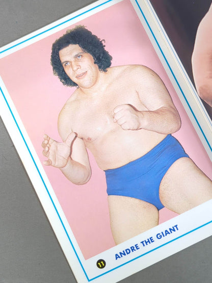 ワールド・レスリング・カラー・アルバム / WORLD WRESTLING COLOR ALBUM ゴング別冊付録1974.5