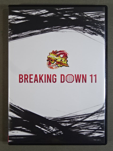BREAKING DOWN 11 – 闘道館