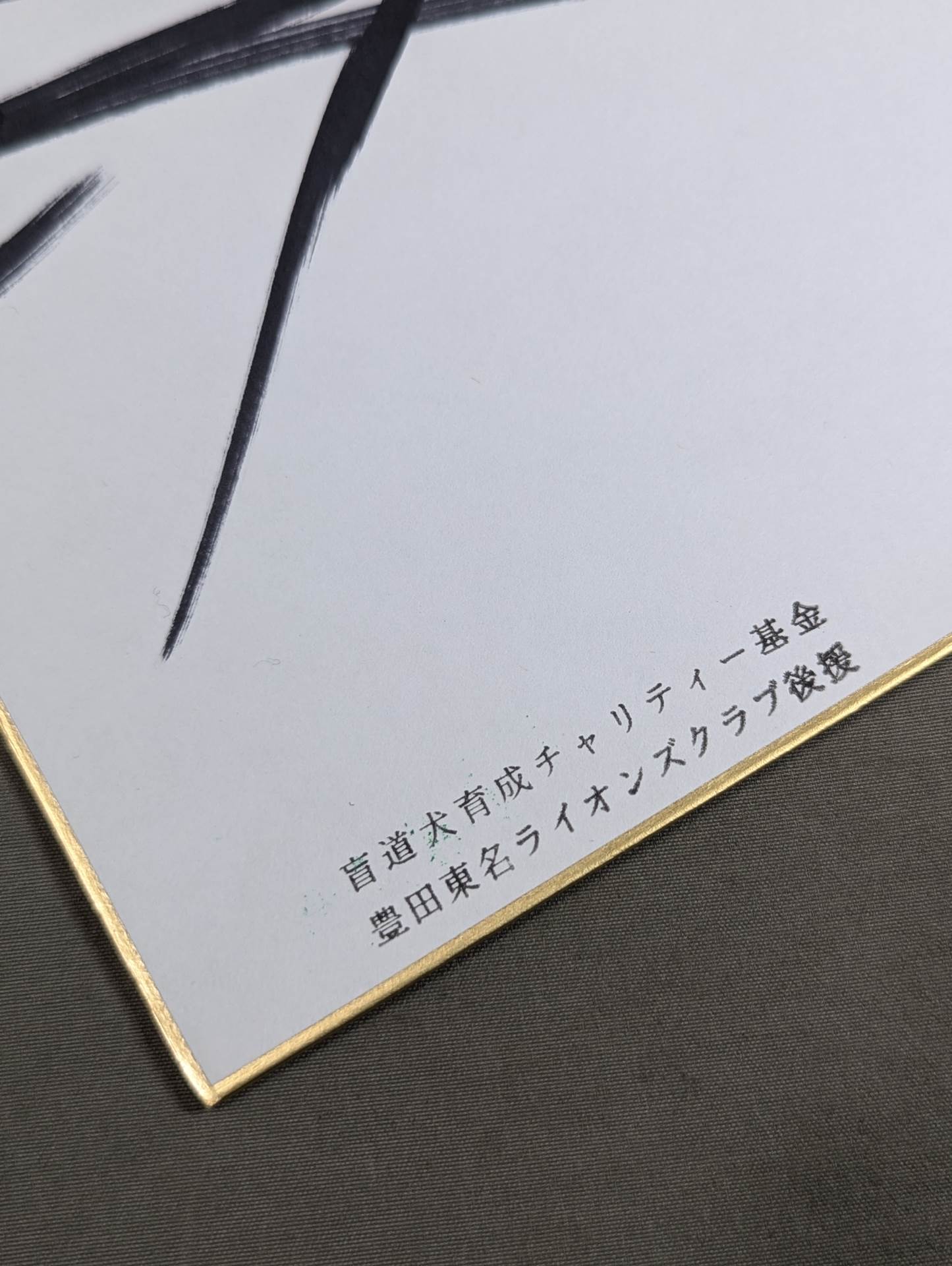 蝶野正洋(ライオンマークステッカー貼付)