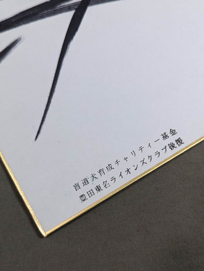 蝶野正洋(ライオンマークステッカー貼付)