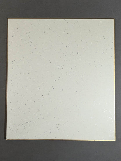 タイガーマスク(2代目・専用色紙)