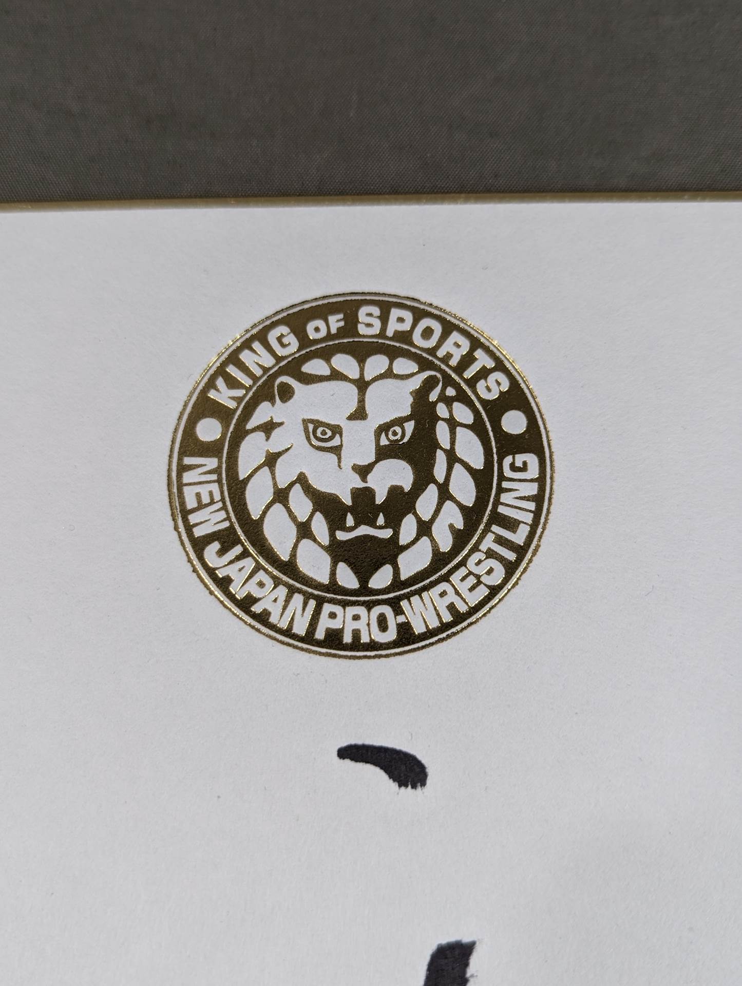 石井智宏(ライオンマーク色紙)