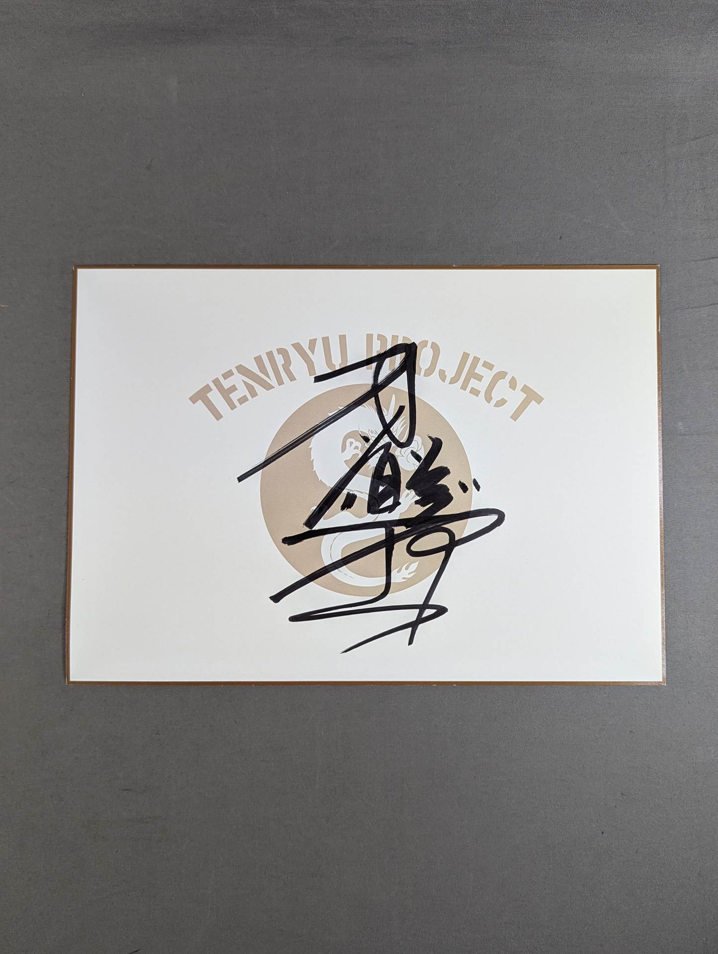 Mitsuo Momota  (TENRYU PROJECT cardboard)