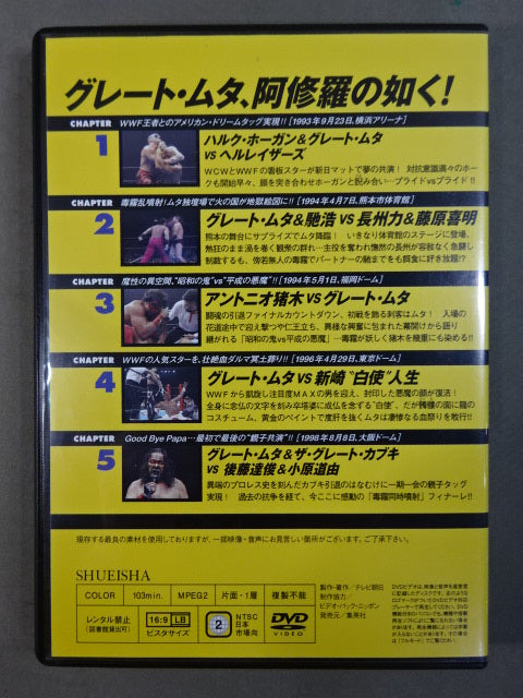 燃えろ!新日本プロレス vol.38 – 闘道館