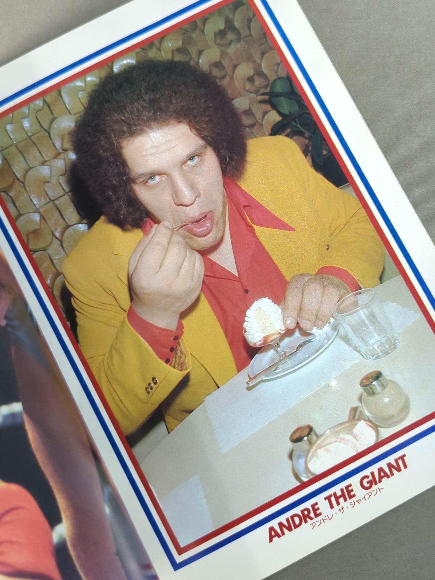 1979 MAT STARS PHOTO ALBAM