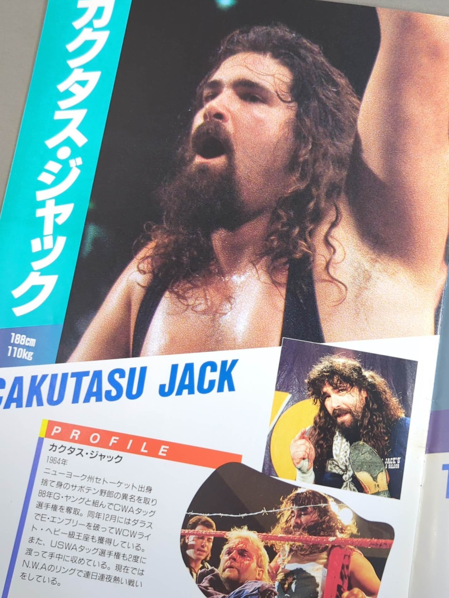 市来貴代子 直筆サイン入り】95激戦帝国王道激戦 / 1995 NEW