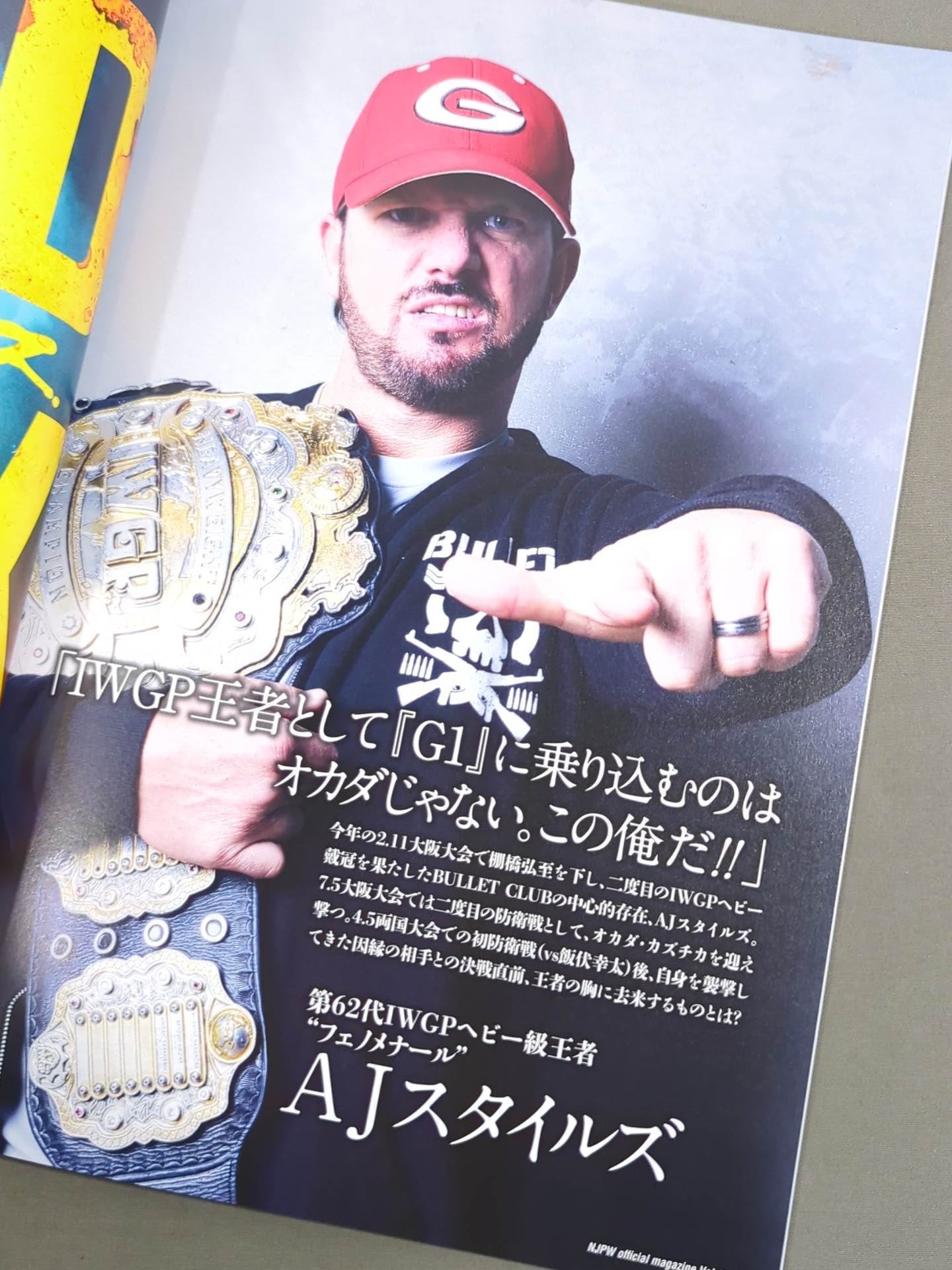 NJPW OFFICIAL MAGAZINE 2015 Vol.5