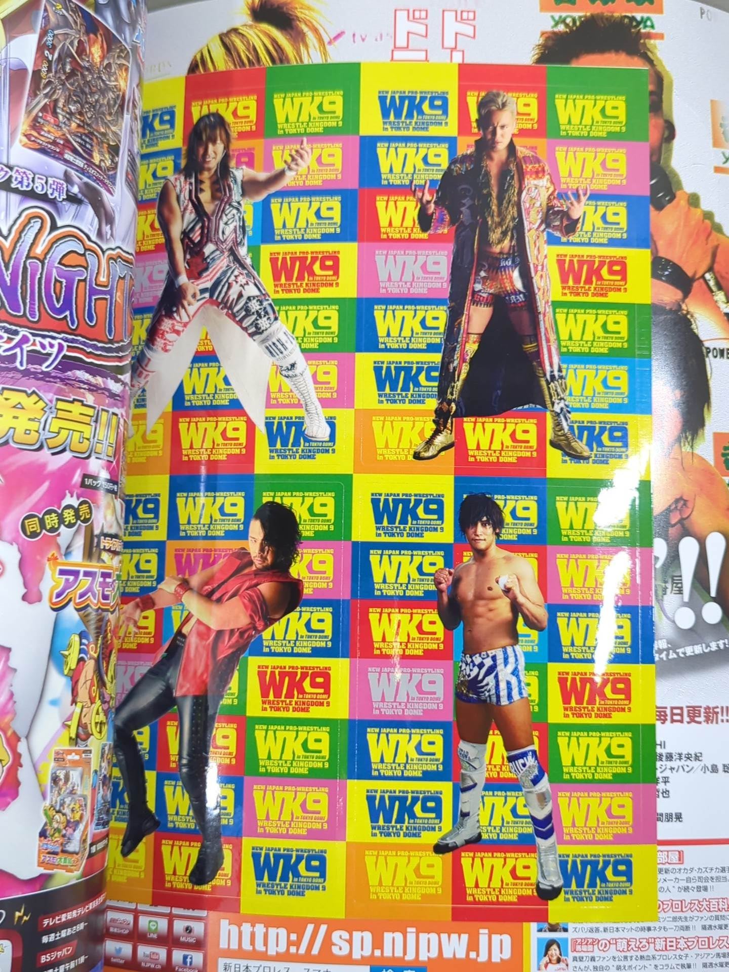 レッスルキングダム9 / WRESTLE KINGDOM 9