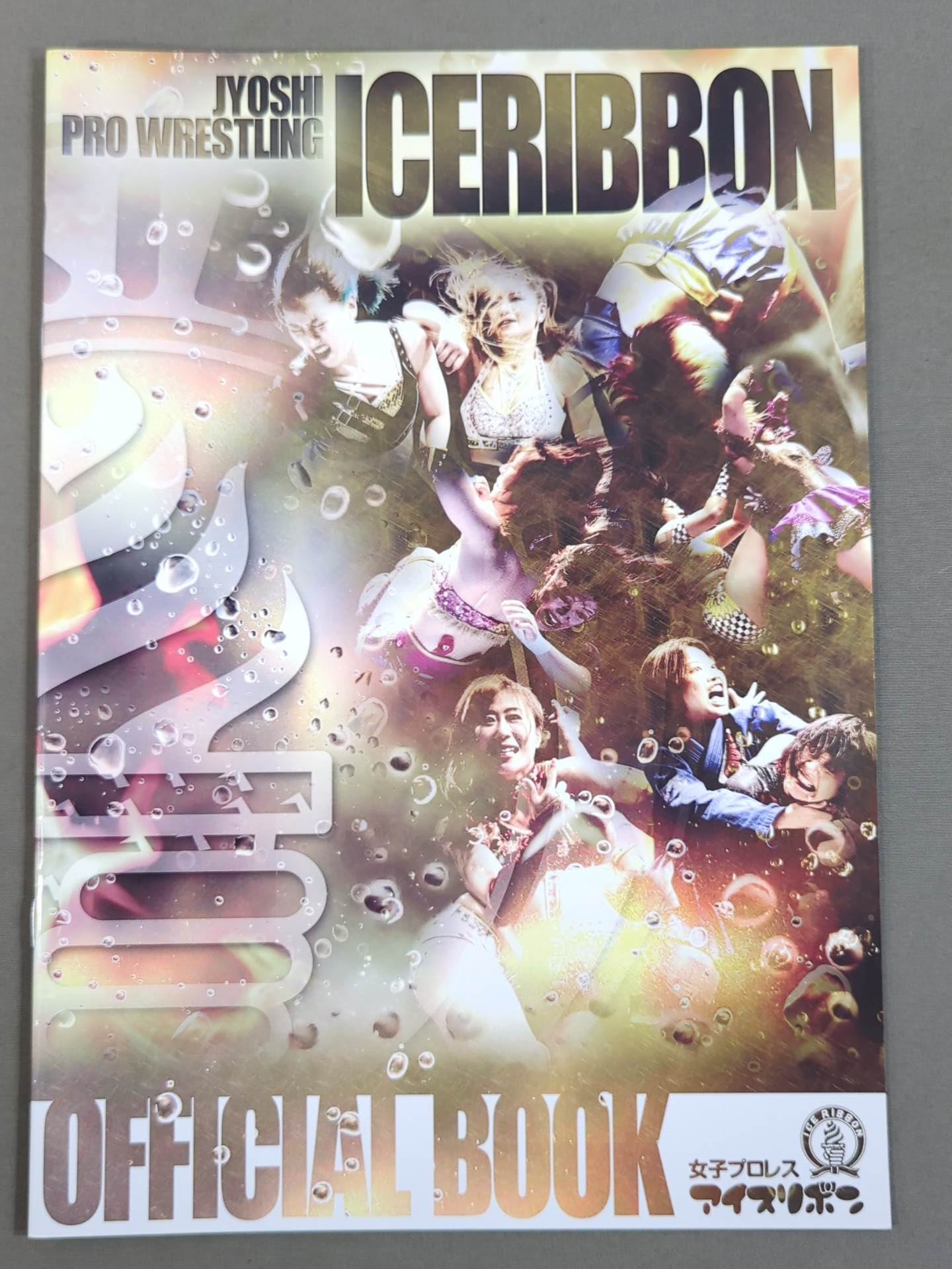 【8名直筆サイン入り】アイスリボンパンフレット(2020/12/31)