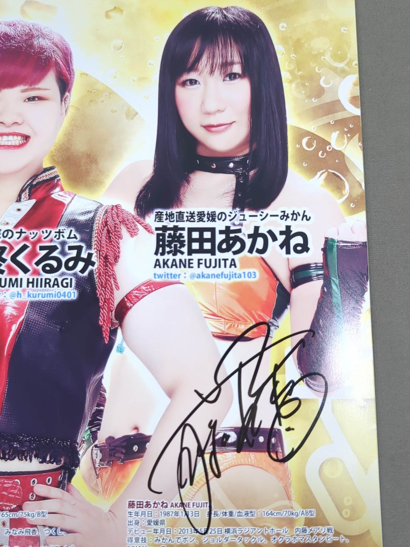 【8名直筆サイン入り】アイスリボンパンフレット(2020/12/31)