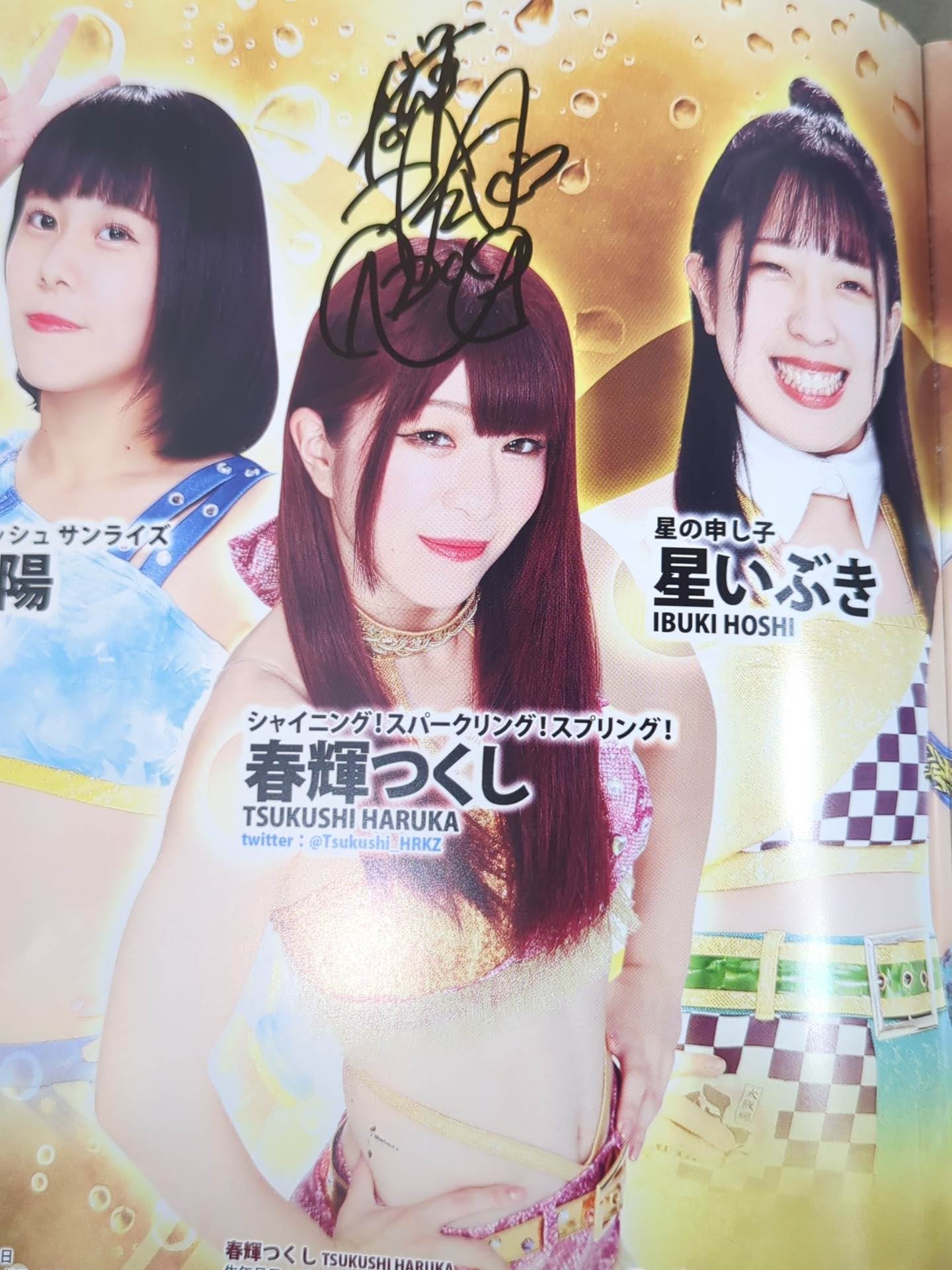 8名直筆サイン入り】アイスリボンパンフレット(2020/12/31) – 闘道館