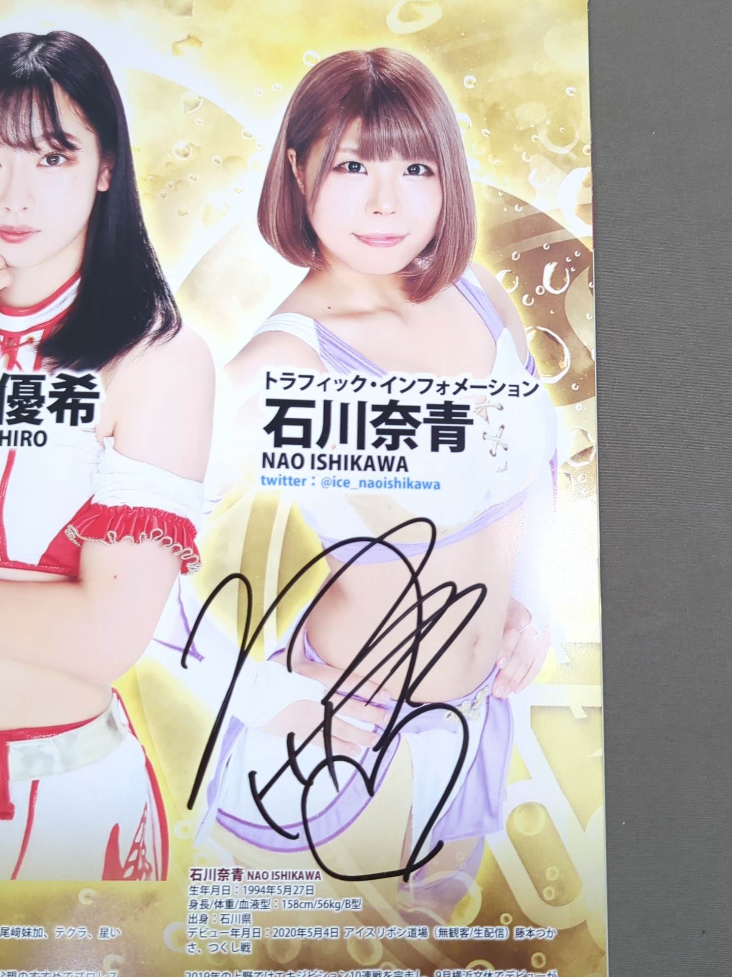 【8名直筆サイン入り】アイスリボンパンフレット(2020/12/31)