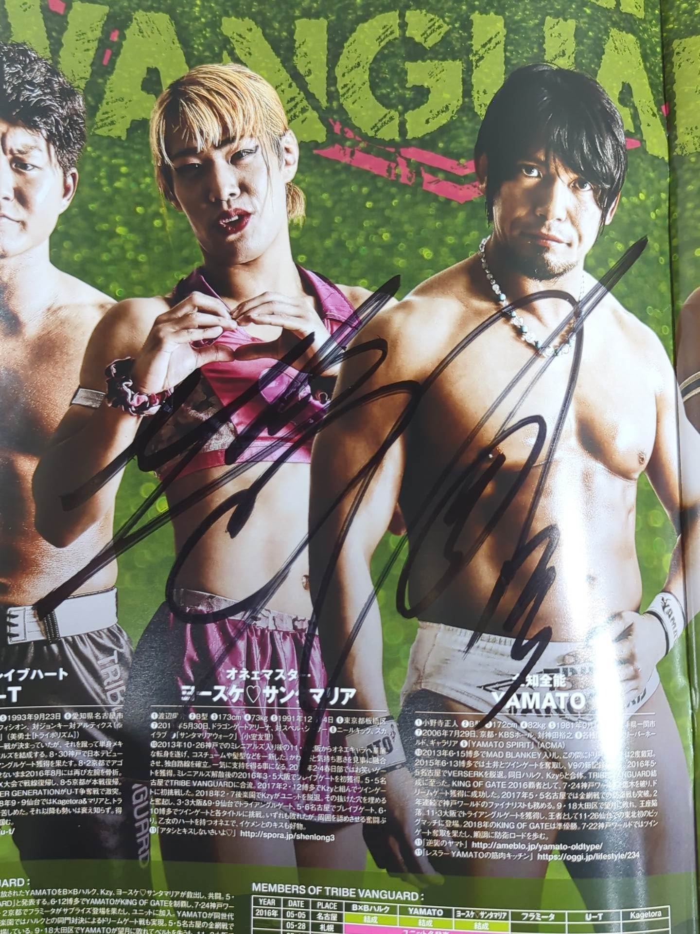 【10選手直筆サイン入り】2018 DRAGON GATE OFFICIAL PAMPHLET Vol.5