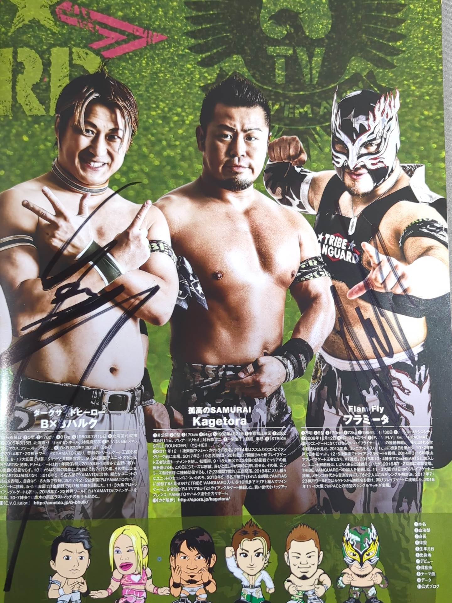 【10選手直筆サイン入り】2018 DRAGON GATE OFFICIAL PAMPHLET Vol.5