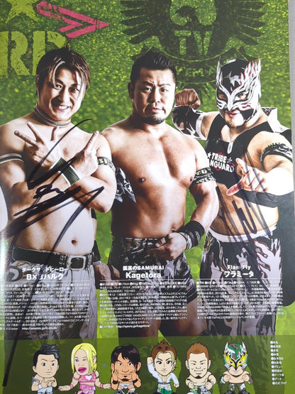 【10選手直筆サイン入り】2018 DRAGON GATE OFFICIAL PAMPHLET Vol.5