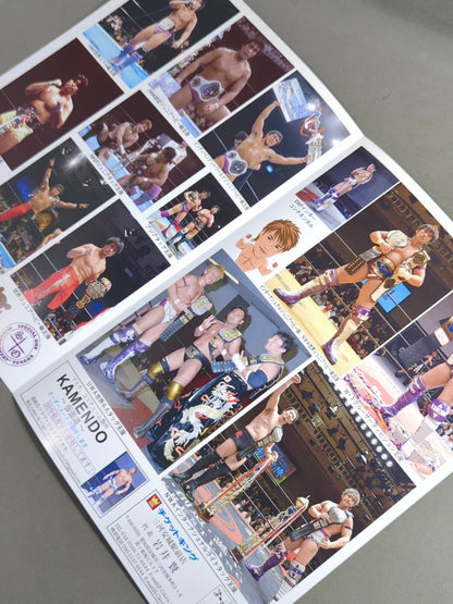 【直筆サイン入り】田中稔 the TITLE HISTORY