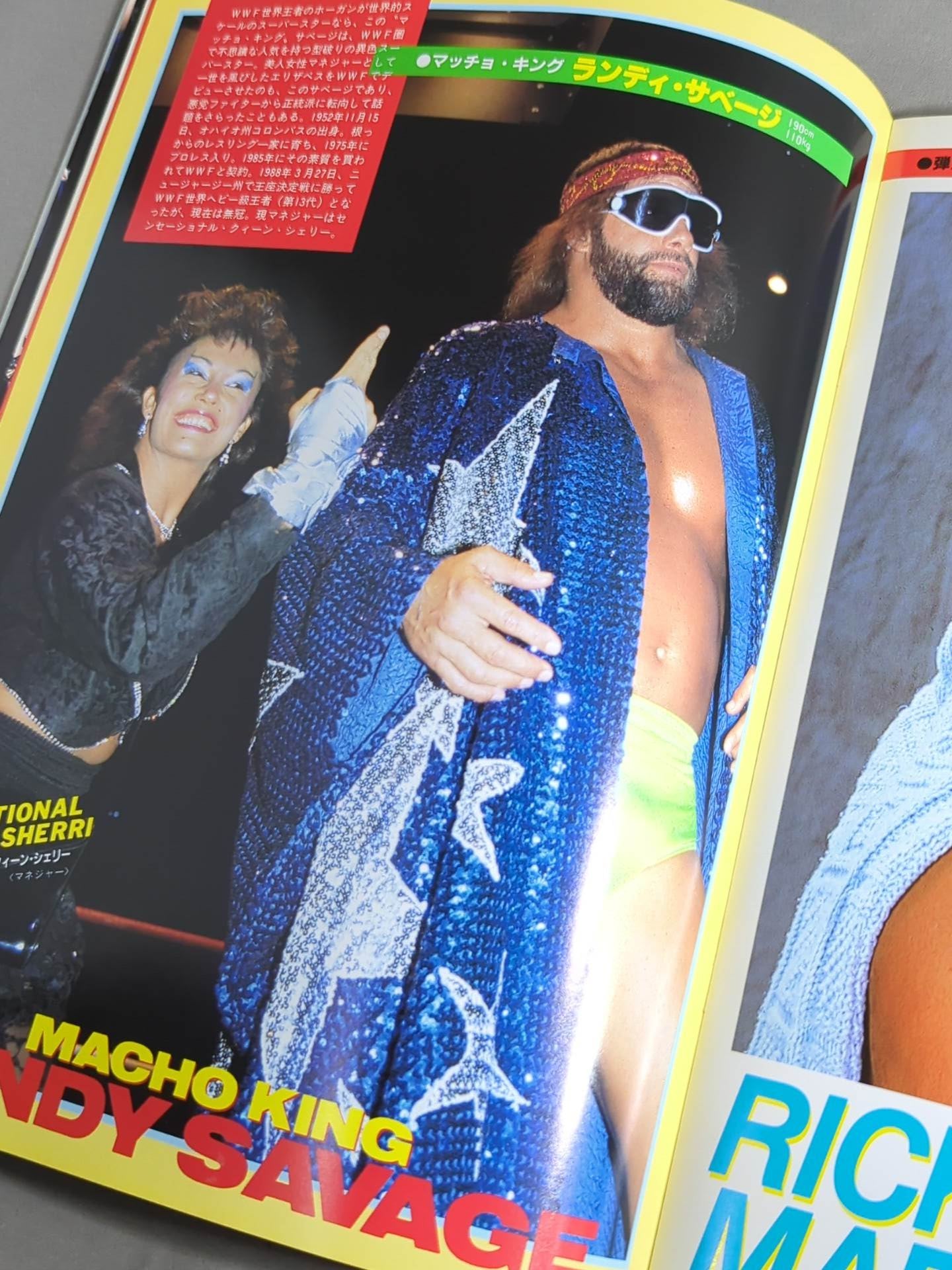 WWF・全日本・新日本 / 日米レスリングサミット – 闘道館