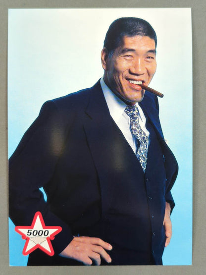 ★5000試合達成★ ジャイアント馬場 ポストカードセット