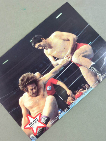 ★5000試合達成★ ジャイアント馬場 ポストカードセット