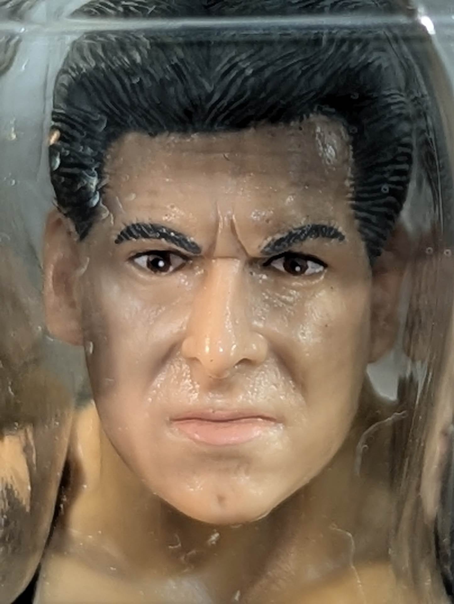 ビンス・マクマホン – 闘道館