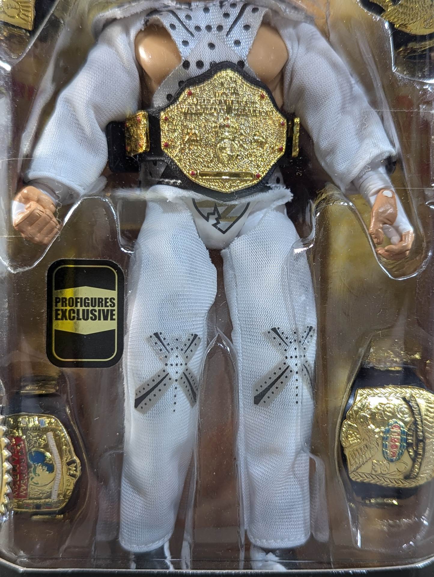 ショーン・マイケルズ – 闘道館