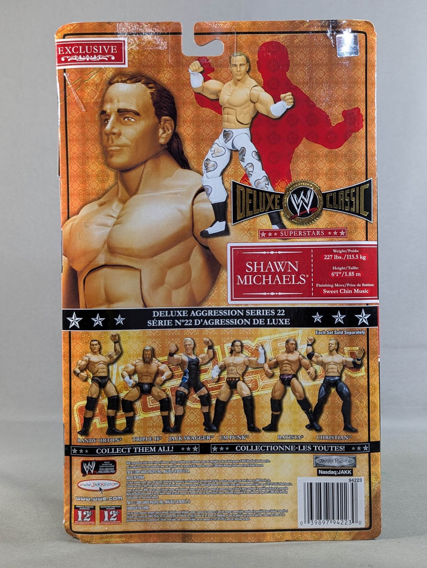 ショーン・マイケルズ – 闘道館