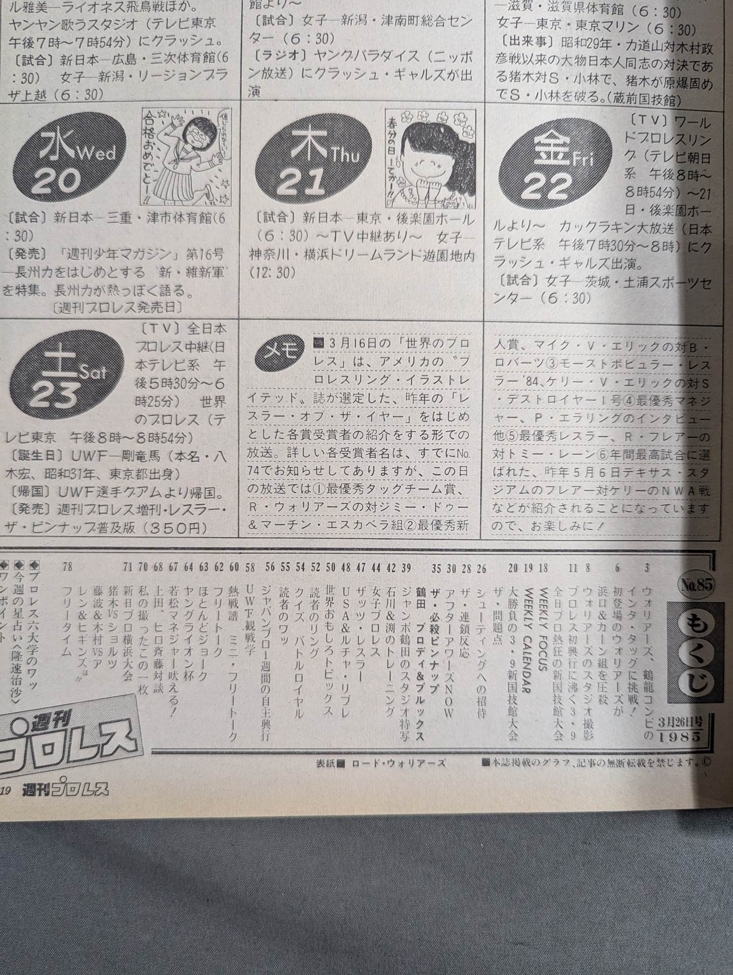 Weekly Pro Wrestling 85