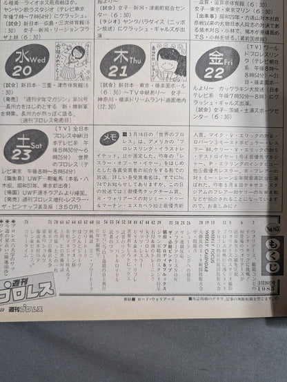 Weekly Pro Wrestling 85