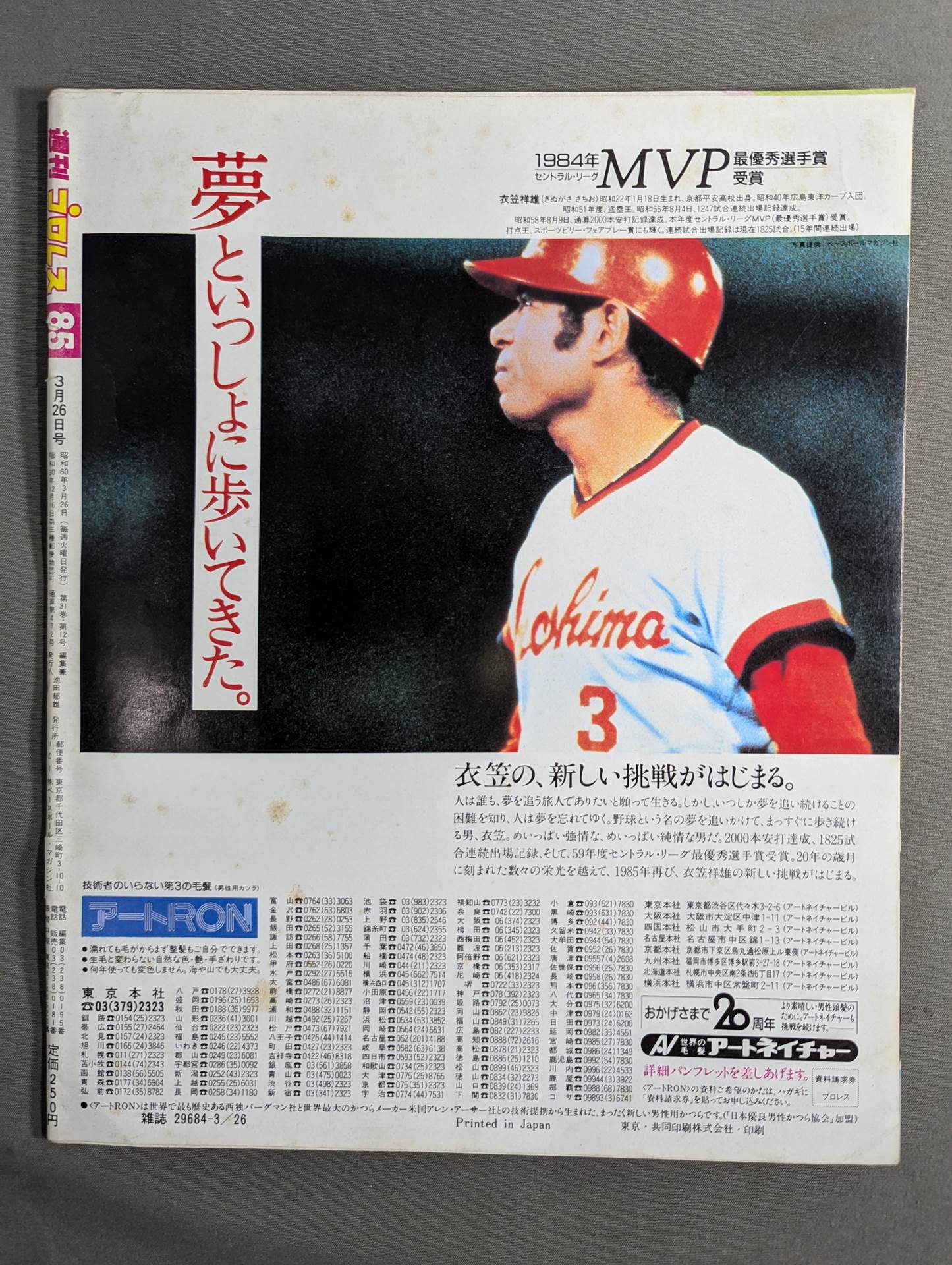 Weekly Pro Wrestling 85