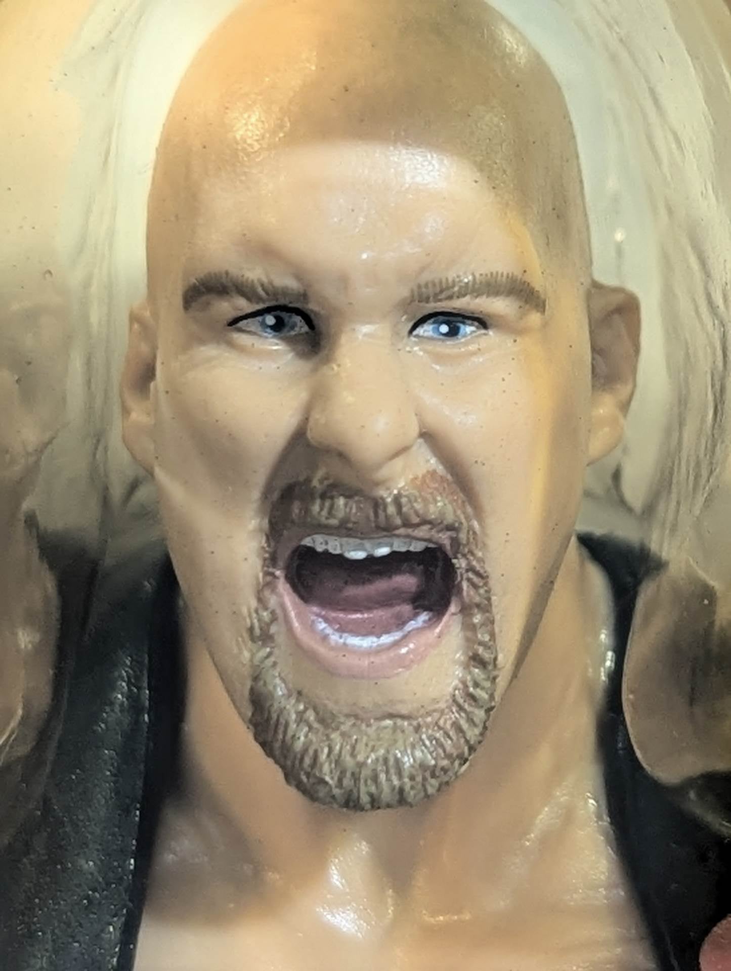 ストーンコールド”スティーブ・オースチン – 闘道館